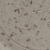pyrité